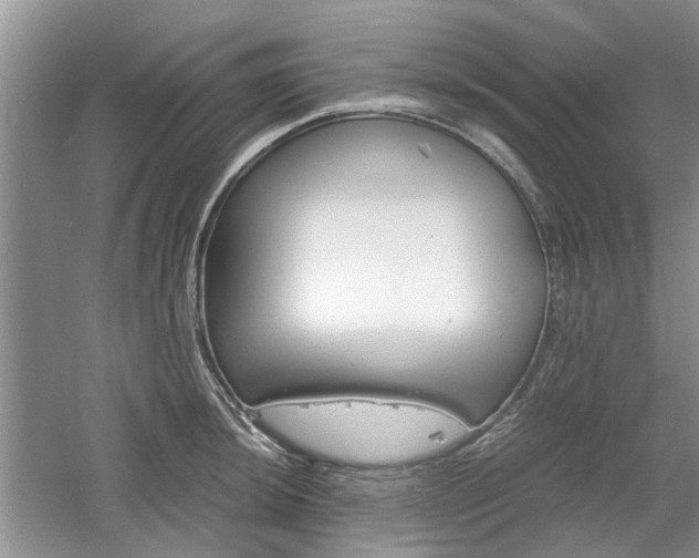 X0000061141044200511181001
