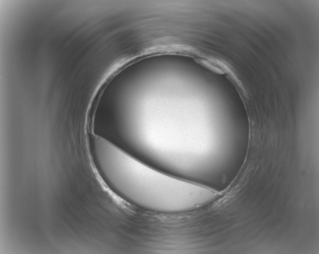 X0000061141046200511181001