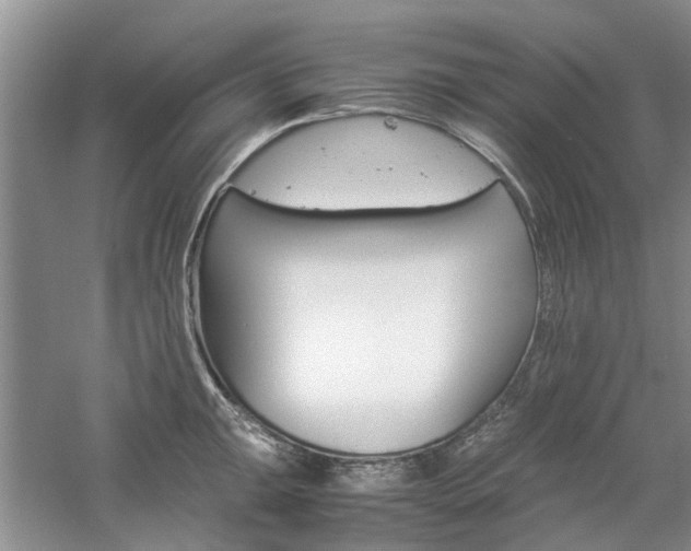 X0000061141047200511181001