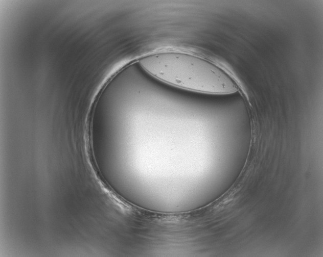 X0000061141048200511181001