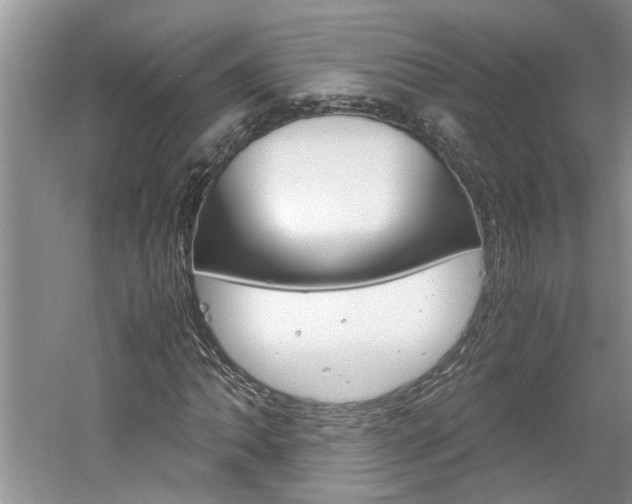 X0000061141062200511181000