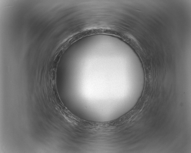 X0000061141064200511181000