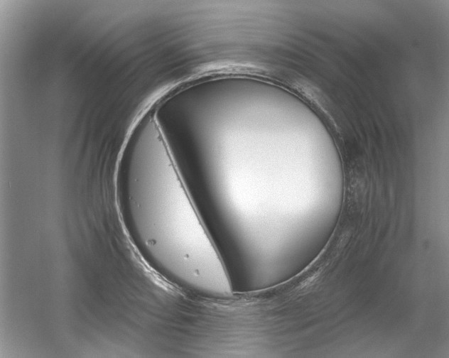 X0000061141082200511181000