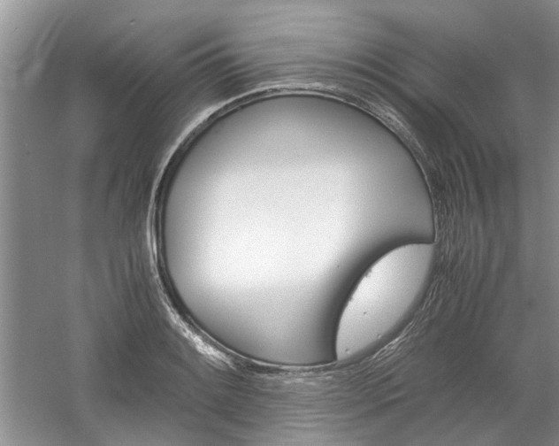 X0000061141084200511181000