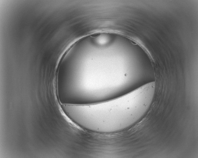 X0000061141100200511180959