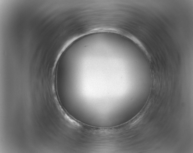 X0000061141102200511180959