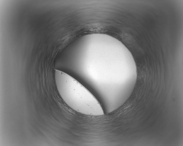 X0000061141106200511180959