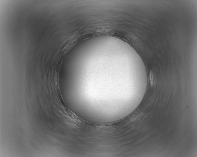 X0000061141107200511180959