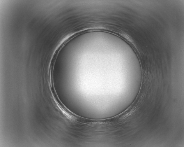 X0000061141127200511180959