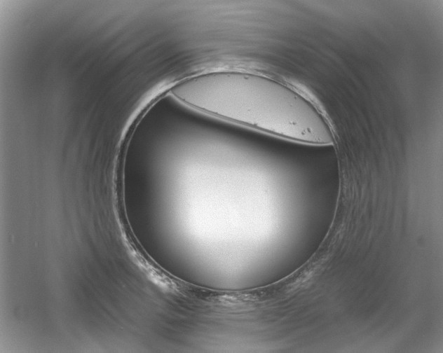 X0000061141138200511180959