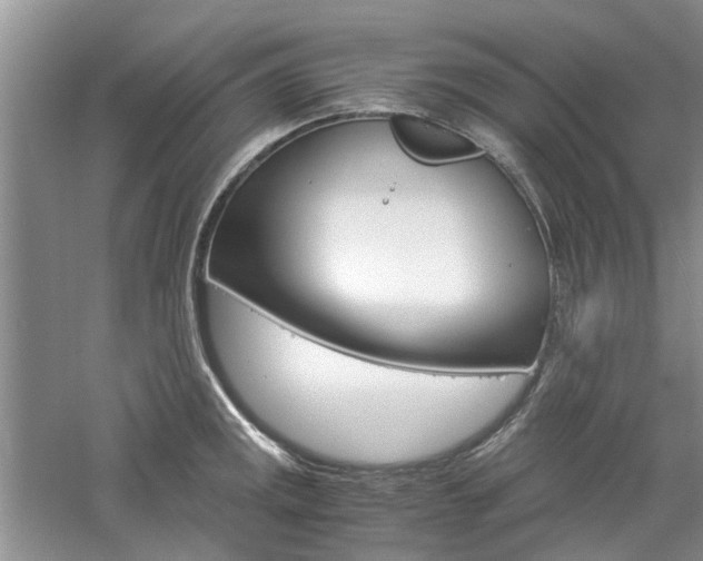 X0000061141141200511180959