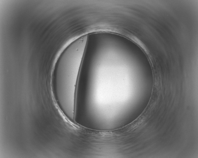 X0000061141144200511180959