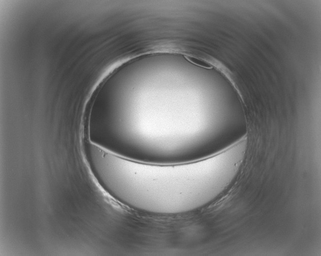 X0000061141147200511180959