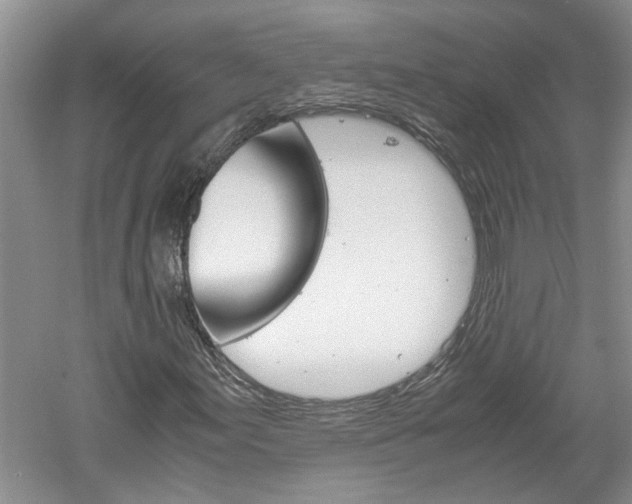 X0000061141155200511180958