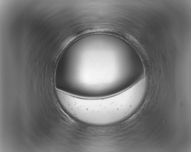 X0000061141177200511180958