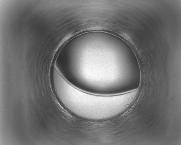 X0000061141181200511180958