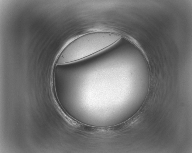 X0000061141195200511180958