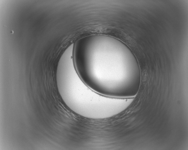 X0000061141202200511180957
