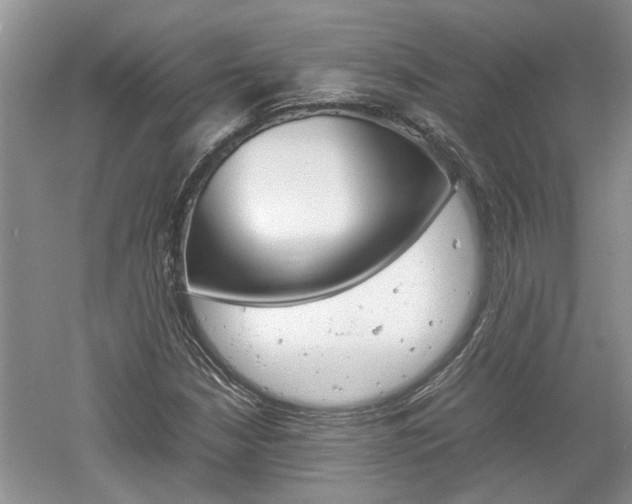 X0000061141210200511180957