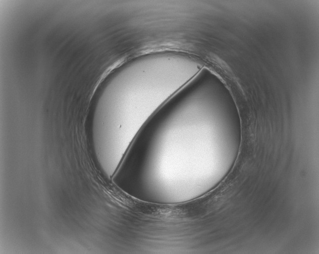X0000061141218200511180957