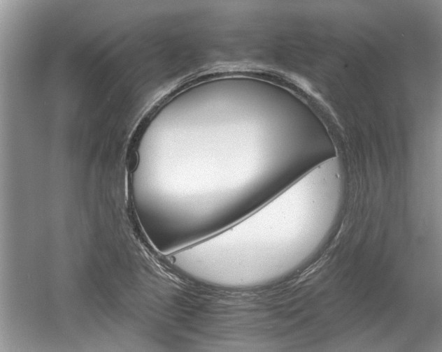 X0000061141221200511180957