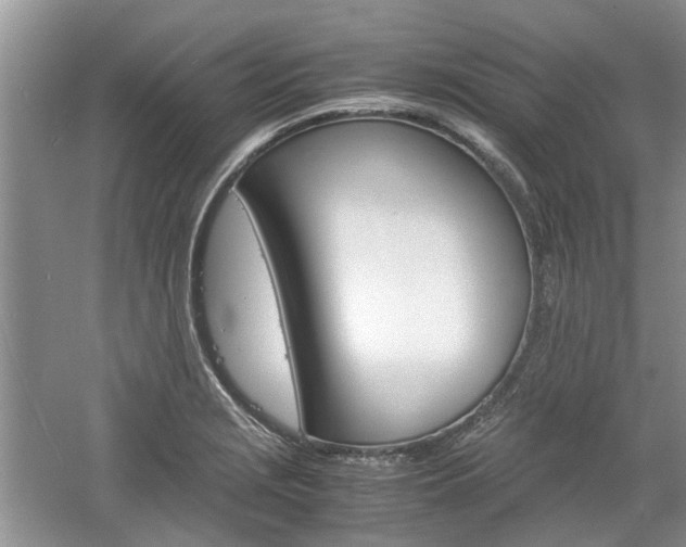 X0000061141229200511180957