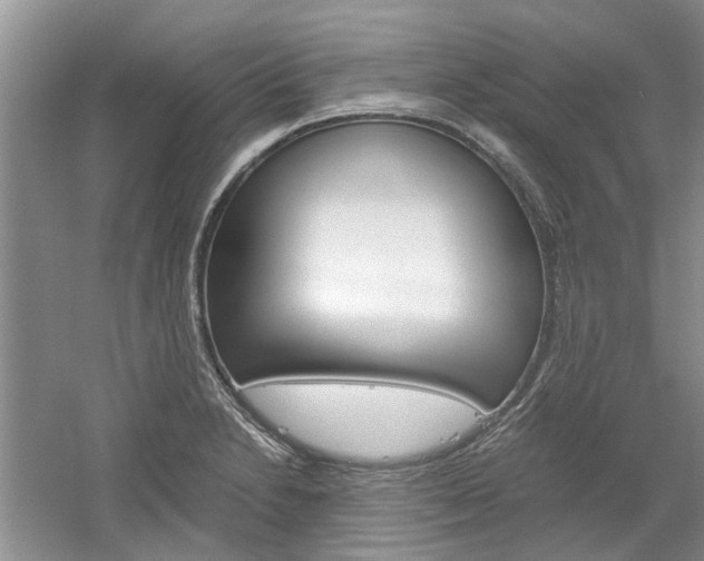X0000061141230200511180957