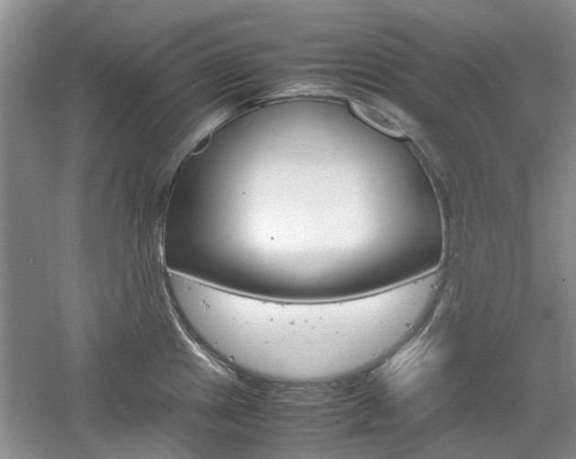 X0000061141241200511180958