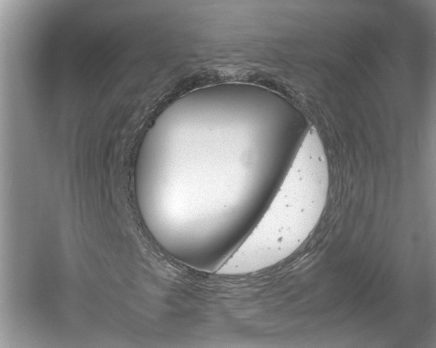 X0000061141249200511180957
