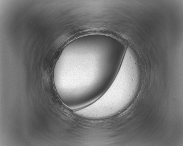 X0000061141257200511180957