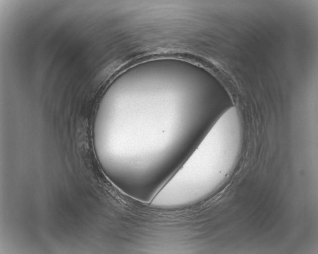 X0000061141265200511180957