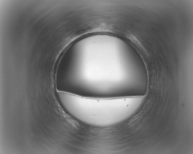 X0000061141268200511180957