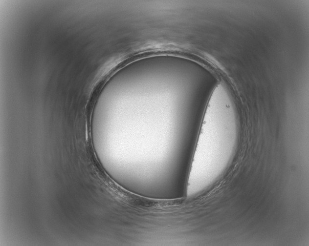 X0000061141269200511180957