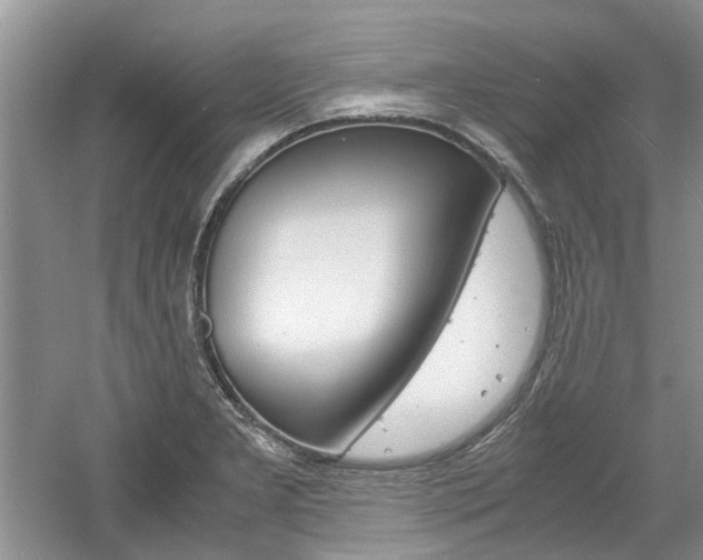 X0000061141277200511180956