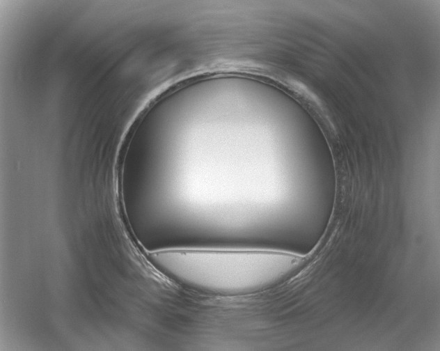 X0000061141280200511180956