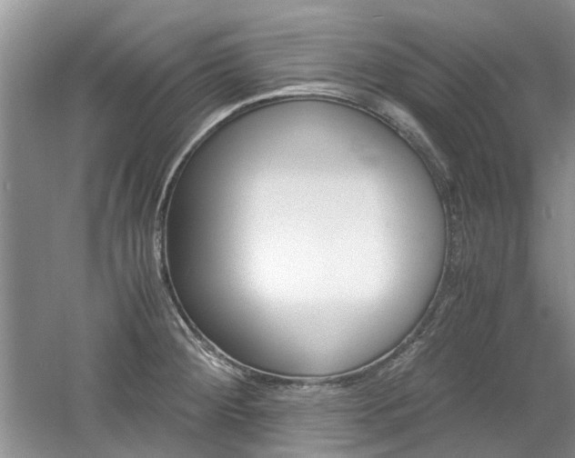 X0000061141284200511180956