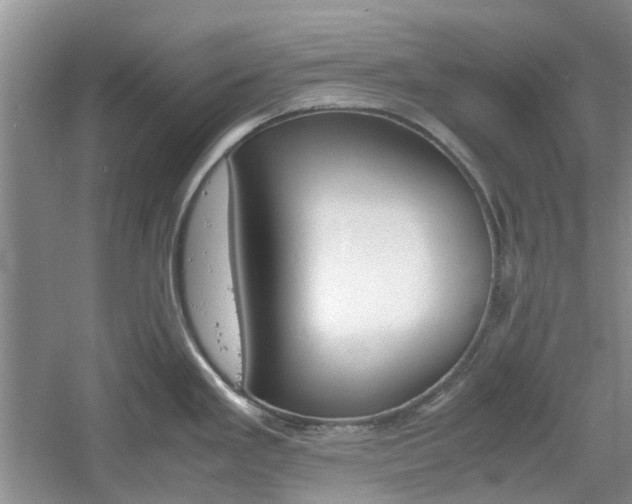 X0000061141293200511180956
