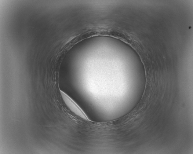 X0000061141301200511180955