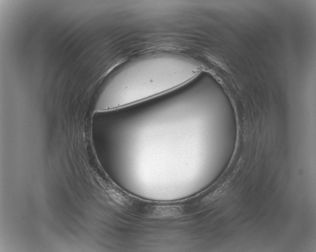 X0000061141305200511180955