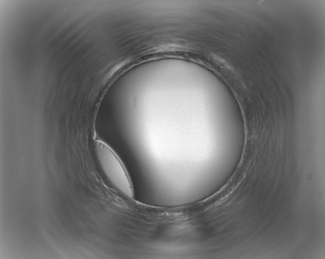 X0000061141313200511180956