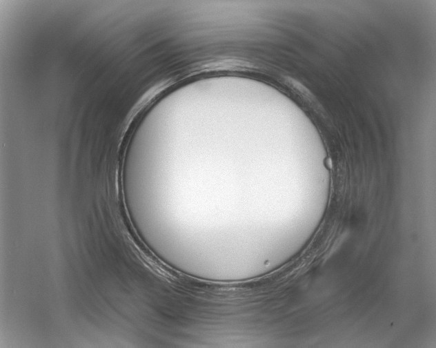 X0000061141322200511180956