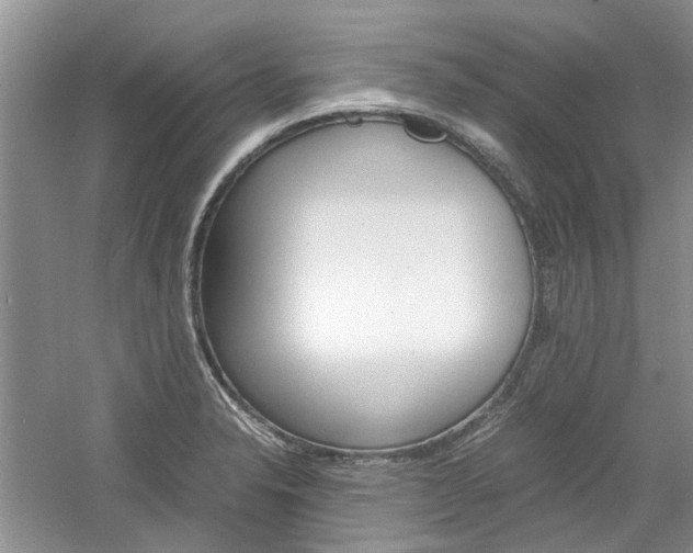 X0000061141326200511180956