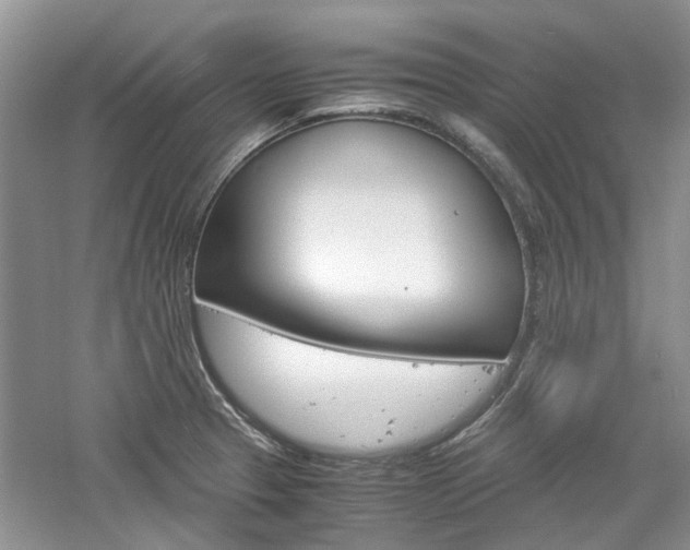 X0000061141329200511180956