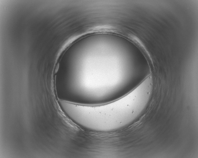 X0000061141336200511180956