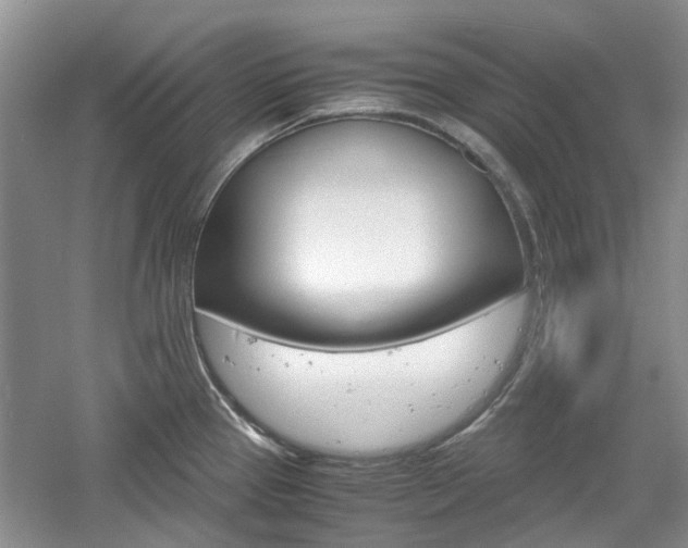 X0000061141337200511180956