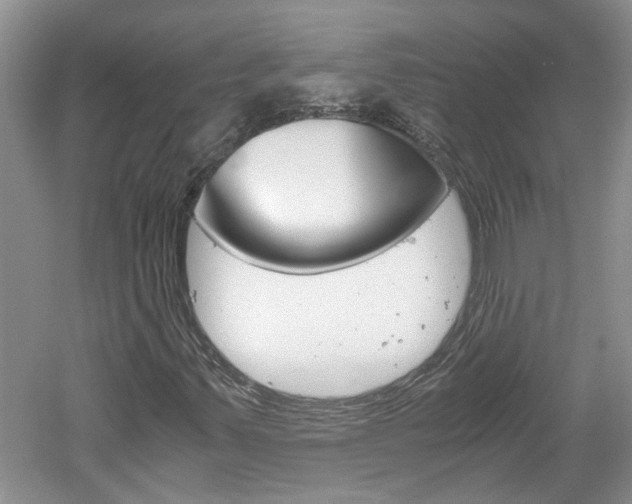X0000061141347200511180955
