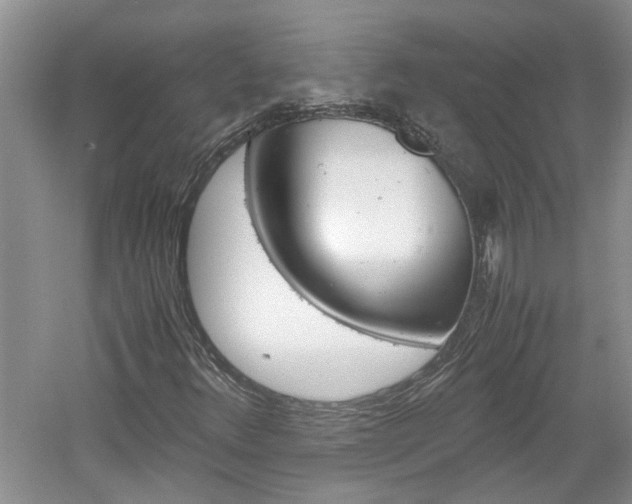 X0000061141348200511180955
