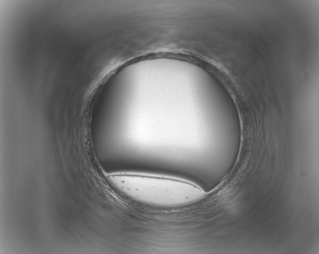 X0000061141359200511180955