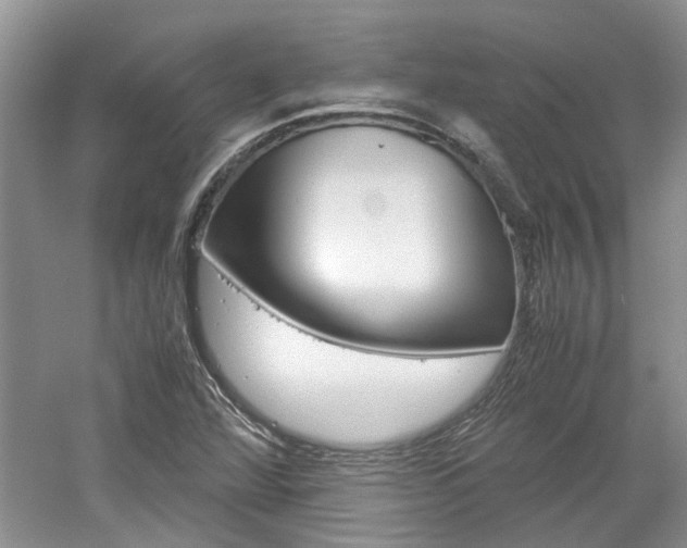 X0000061141360200511180955