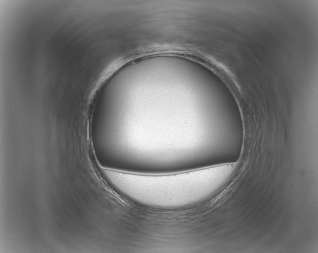 X0000061141365200511180955
